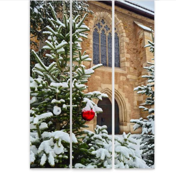 Flächenvorhang Weihnachten in der Kirche 3er Set, Schiebegardine, Schiebegardinen, blickdicht, Flächenvorhang blickdi